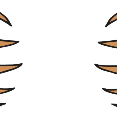 AR BEAR 05 RC Thumbnail