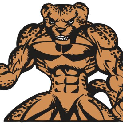 BAW CHEETAH 07 RC Thumbnail