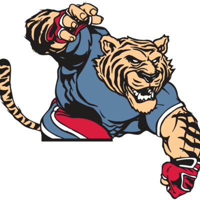 AR TIGER 30 RC Thumbnail